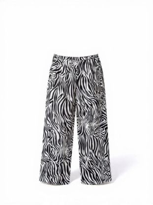 Picture of zebra pants