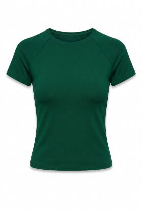 Picture of Round neck basic top (green color)
