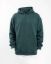 Picture of olive hoodie