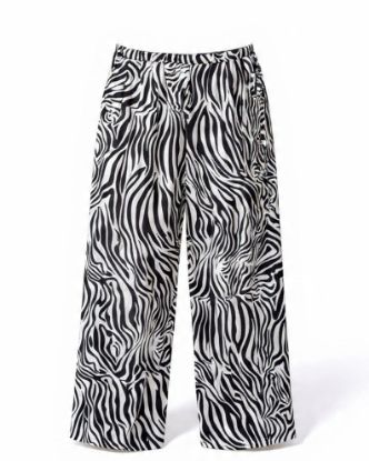 Picture of zebra pants