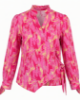 Picture of giraffe top